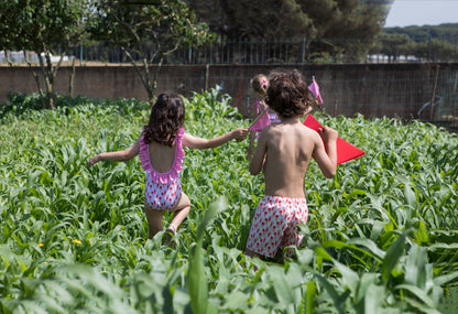 Ice cream Garden swimshort