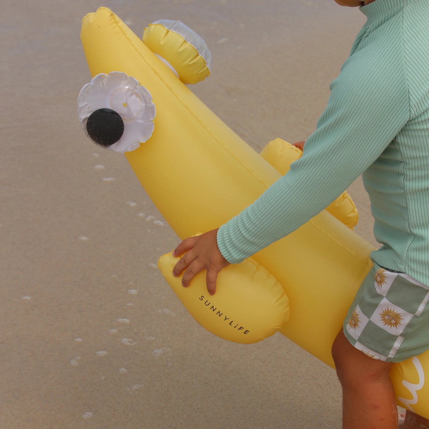 Kids Inflatable Noodle Finn the Fish Multi