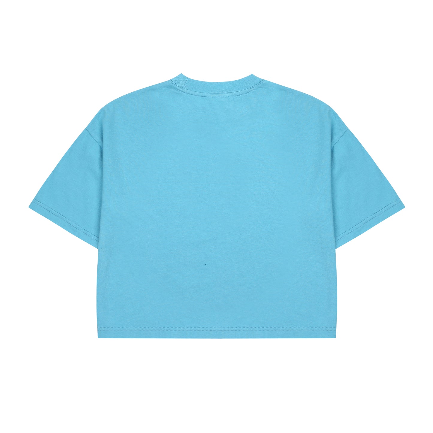 Colorful Apple T-shirt_L/Blue