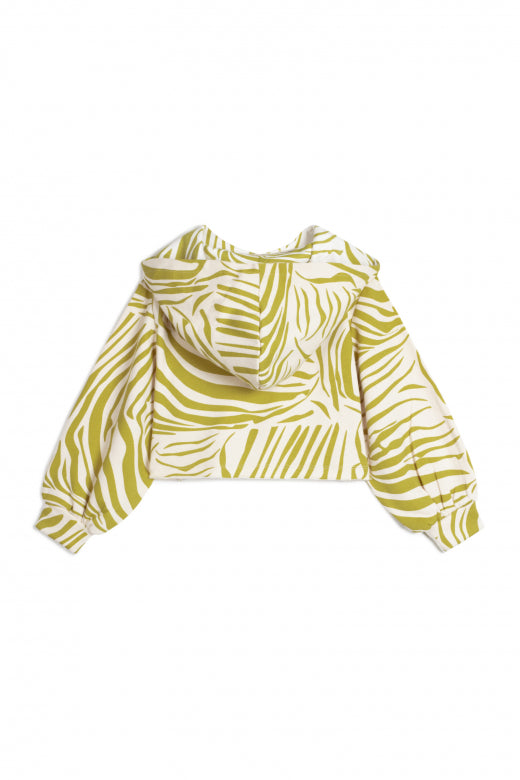 DALIA ZEBRA OLIVE